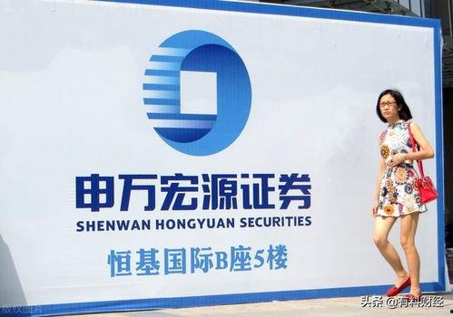 最新上市公司爆料网络,行业动态与公司业绩深度解析